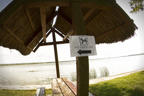 kutyastrand