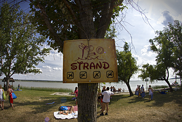 Autós Találkozó Drótszamár park és kemping